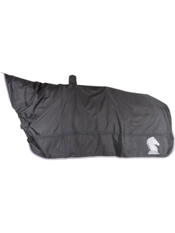 Horse and Saddle Cover