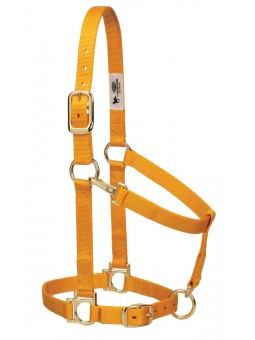 Basic Halter adjustable mustard