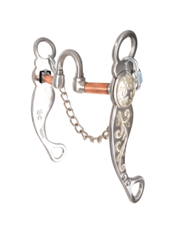 Master Qualifier, Correction Bit