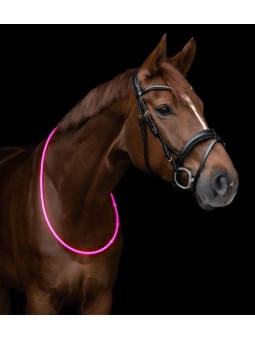 LED Neck Strap pink