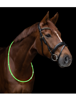 LED Neck Strap green