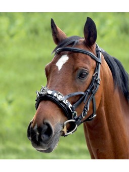 Leder Kappzaum
