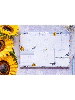 ‘Piebald Horses’ Weekly...