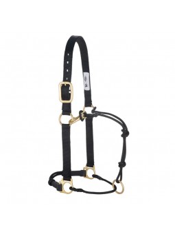Horseman's Halter