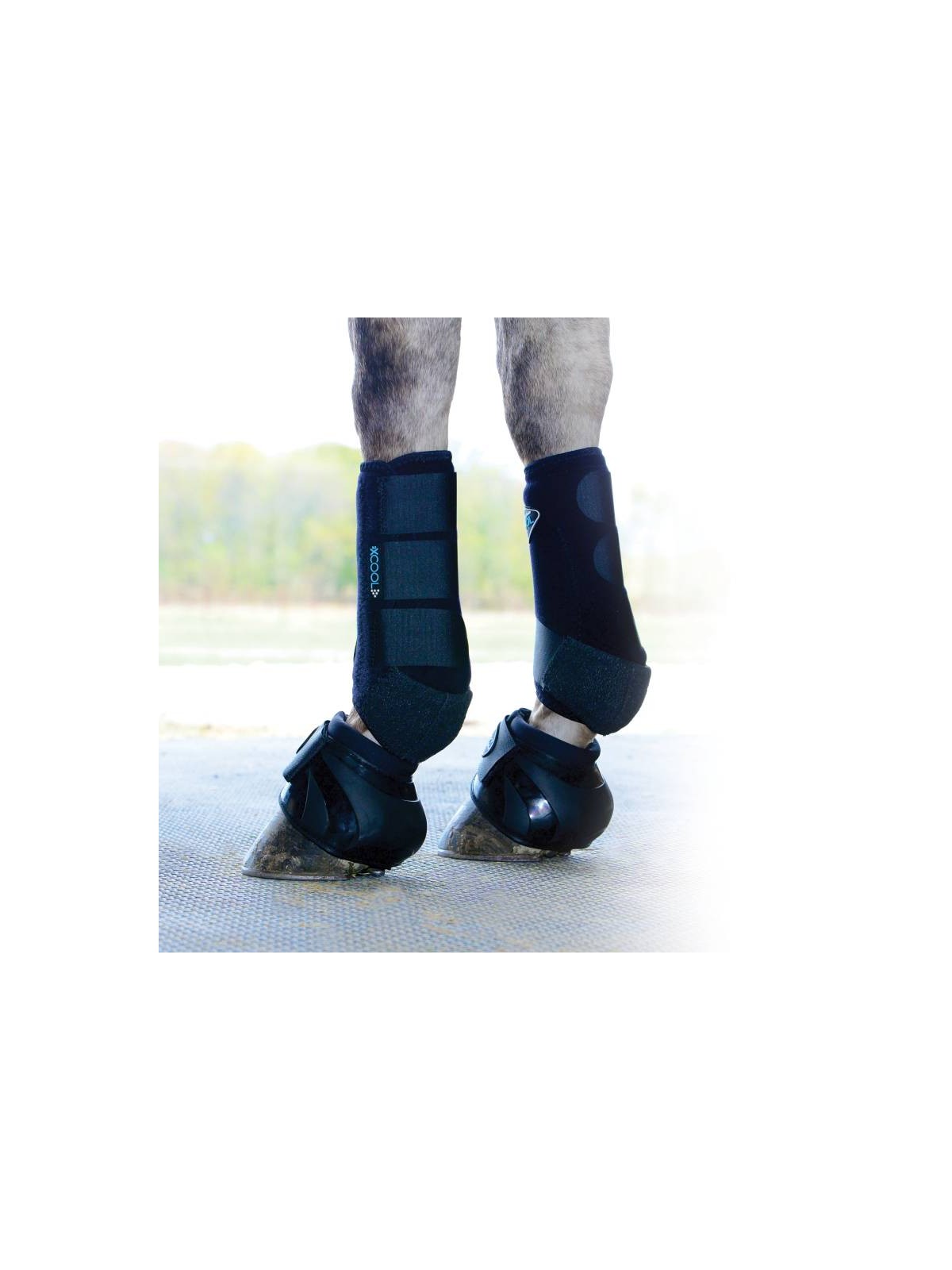 BB56 Professional's Choice Spartan II Bell Boots on horse with leg protection boots