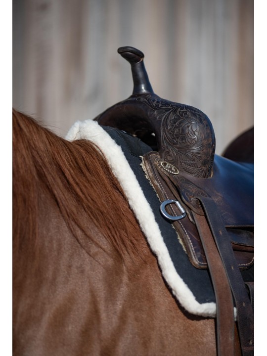 Classic Equine PTP2BK saddle pad on horse gullet detail