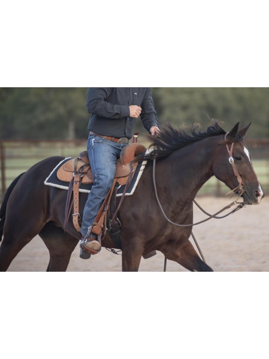 Classic Equine PTP2BK saddle pad riding