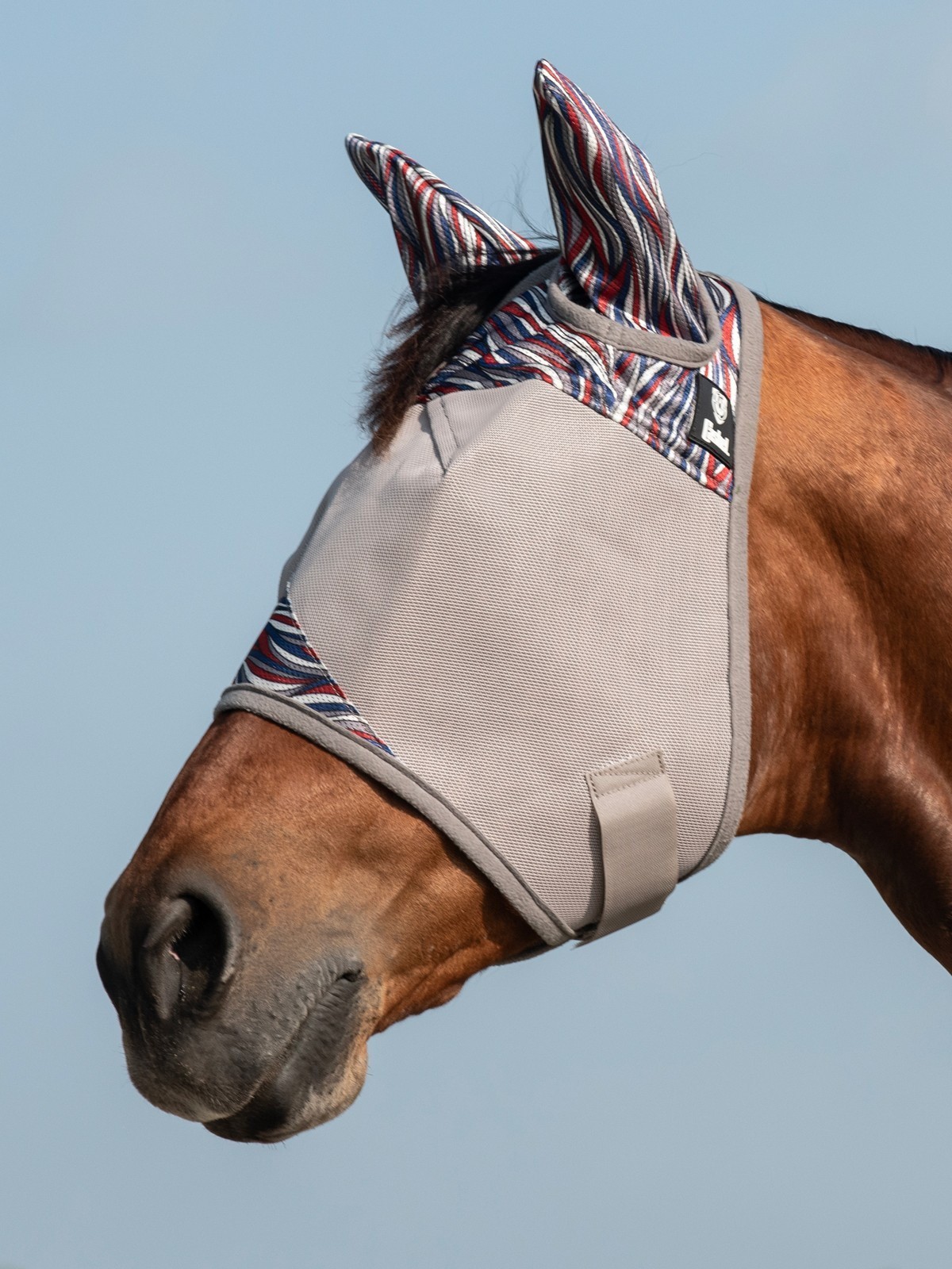 Cashel Crusader Fliegenmaske American Wave 2025 Limited Edition on horse Portrait Format