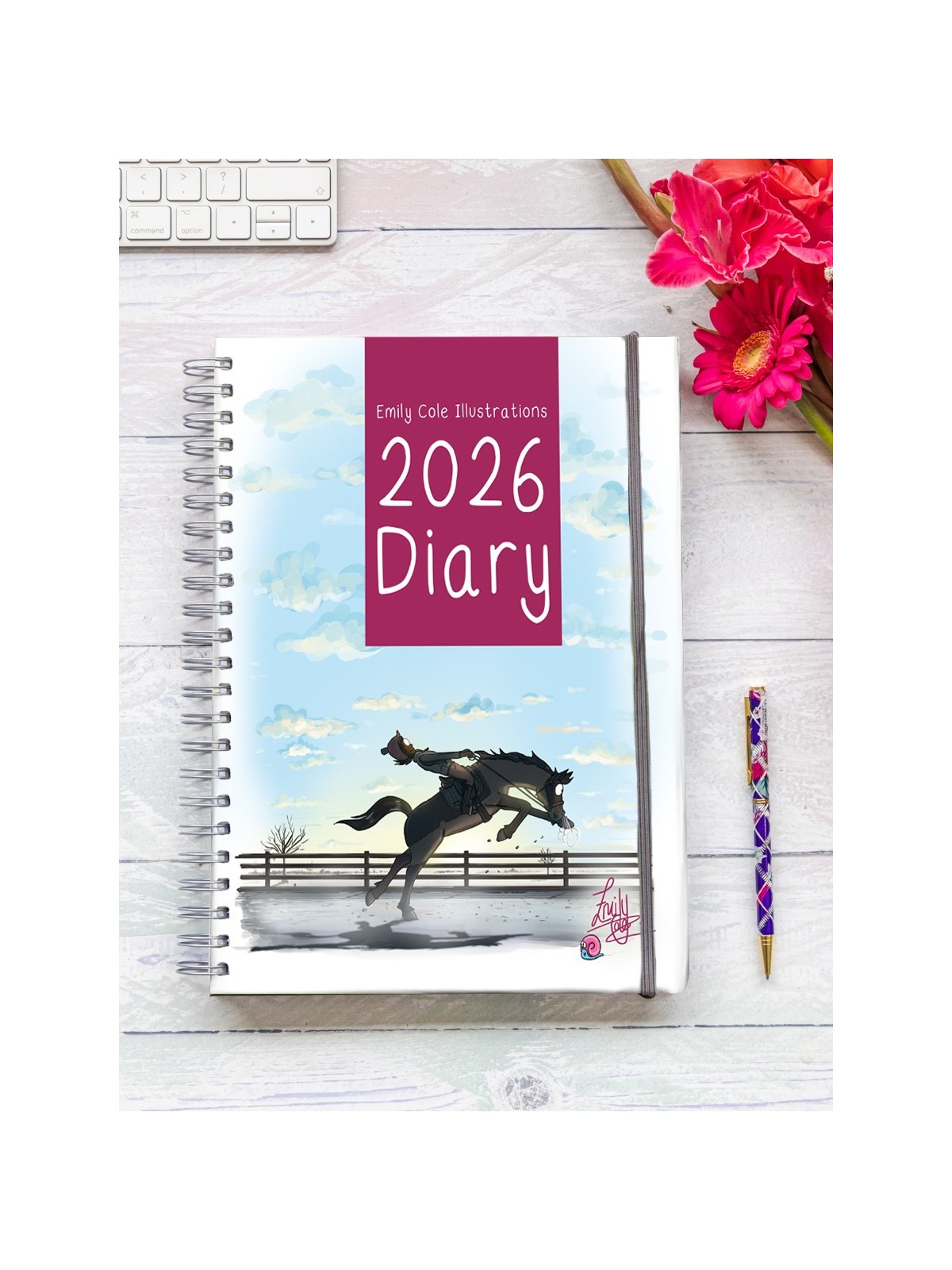 Emily Cole 2026 Ringbound Diary / Calendar
