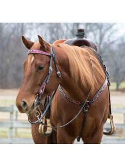 Straight Shooter Brustgeschirr