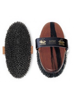 Pferdekardätsche Junior