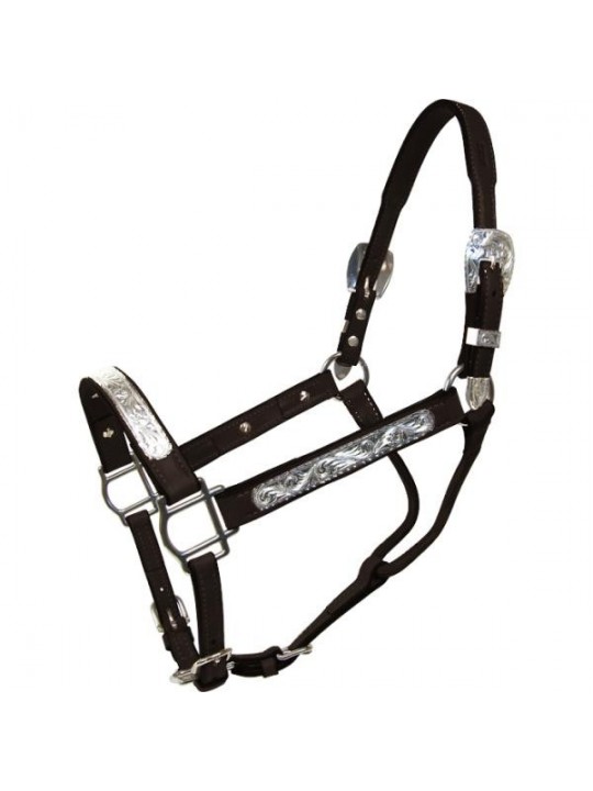 Show Halter Salena Black