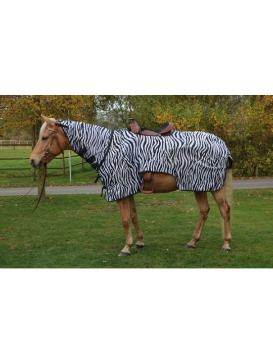 Exercise Sheet MONTANA ZEBRA