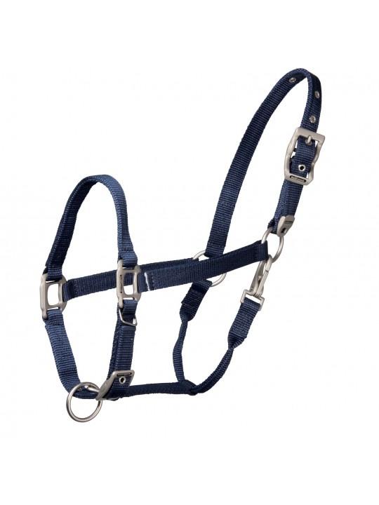 Nouveau Waldhausen réflexe Bridle Set Hi Viz ensemble de trois