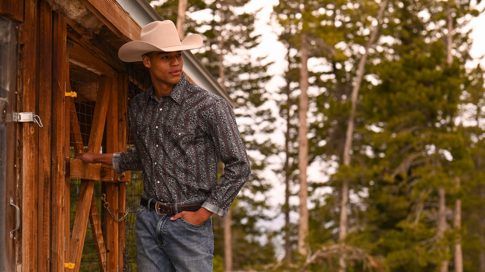 Cowboy Collection Category Image