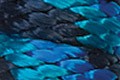 Ribbon - Navy Blau / Blau / Türkis B15