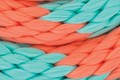 coral/mint