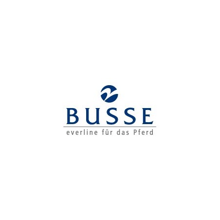 BUSSE Logo
